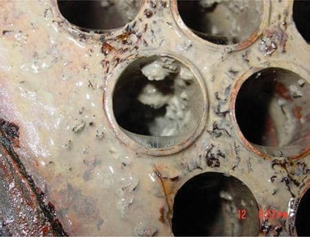 Limo y problemas bacteriológicos en Torres de Enfriamiento